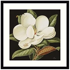 Amanti art framed for sale  Delivered anywhere in USA 