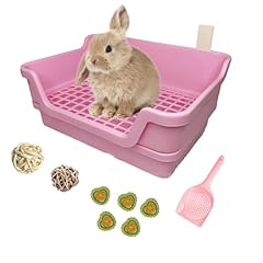 Pinvnby large rabbit for sale  Delivered anywhere in UK