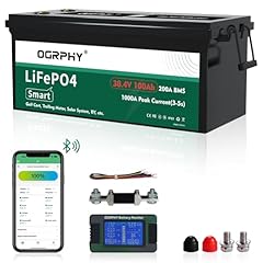 Ogrphy 36v 100ah for sale  Delivered anywhere in USA 