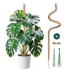 Mcbazel 120cm monstera gebraucht kaufen  Wird an jeden Ort in Deutschland