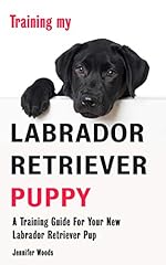 Training labrador retriever for sale  Delivered anywhere in USA 