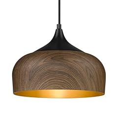 Elyona modern pendant for sale  Delivered anywhere in USA 