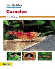 Dennerle hobby crevettes d'occasion  Livré partout en France