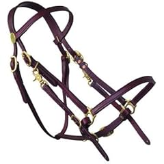 Tucker halter bridle for sale  Delivered anywhere in USA 