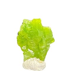 Abcbca teaching specimens for sale  Delivered anywhere in UK