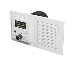 Whd dab radio gebraucht kaufen  Wird an jeden Ort in Deutschland