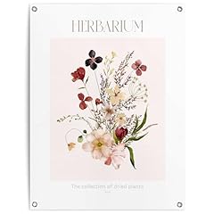 Reinders gartendeko herbarium gebraucht kaufen  Wird an jeden Ort in Deutschland