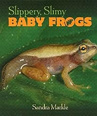 Slippery slimy baby for sale  Delivered anywhere in UK