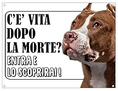 Cartello attenti cane usato  Spedito ovunque in Italia 
