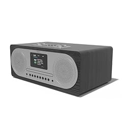 Dab dab radio for sale  Delivered anywhere in Ireland