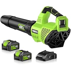 Leaf blower cordless for sale  Delivered anywhere in USA 