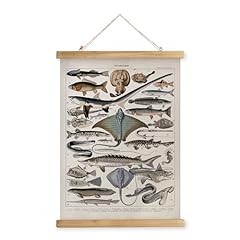 Xiaoaika vintage fish for sale  Delivered anywhere in USA 