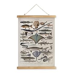 Xiaoaika vintage fish for sale  Delivered anywhere in USA 