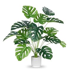 Eltnegsa fake plants for sale  Delivered anywhere in USA 