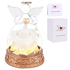 Luckybunny preserved real for sale  Delivered anywhere in USA 