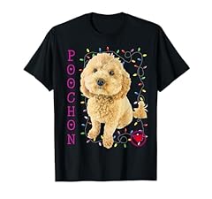 Poochon puppy dog for sale  Delivered anywhere in UK