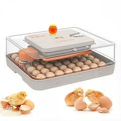 Egg incubator fully for sale  Delivered anywhere in USA 