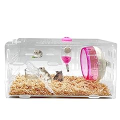 Kathson dwarf hamster for sale  Delivered anywhere in USA 