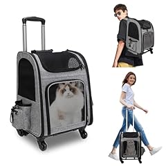Trasportino gatto con usato  Spedito ovunque in Italia 