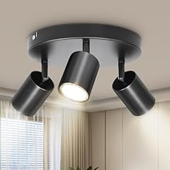 Dehobo faretti soffitto usato  Spedito ovunque in Italia 