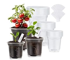 Wandaqueen packs clear for sale  Delivered anywhere in USA 
