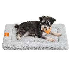 tapis chiens d'occasion  Livré partout en France