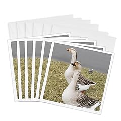 3drose greeting cards for sale  Delivered anywhere in USA 