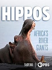 Hippos africa river for sale  Delivered anywhere in USA 