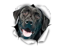 Winston bear dog for sale  Delivered anywhere in UK