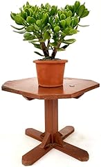 Powers flowers crassula usato  Spedito ovunque in Italia 