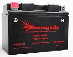 Motorcycle battery rgz14s for sale  Delivered anywhere in USA 
