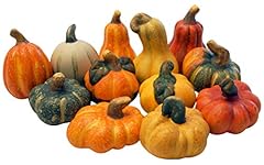 Khevga lot citrouilles d'occasion  Livré partout en Belgiqu