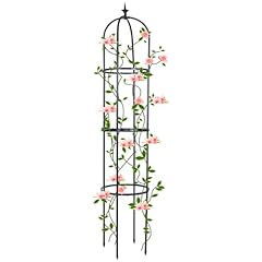 Trellis climbing plants for sale  Delivered anywhere in USA 