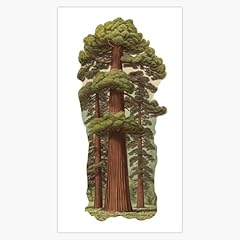 Giant sequoia tall for sale  Delivered anywhere in USA 