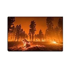 Viubgcps canvas print for sale  Delivered anywhere in USA 