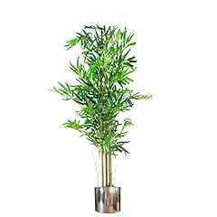 Leaf design plantes d'occasion  Livré partout en France