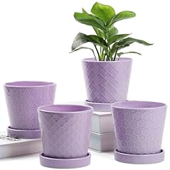 Buymax plant pots for sale  Delivered anywhere in USA 