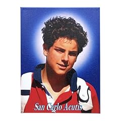 Generico quadro san usato  Spedito ovunque in Italia 