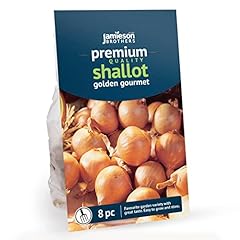 Golden gourmet shallot for sale  Delivered anywhere in UK