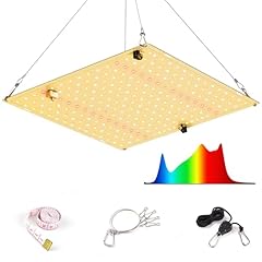 Homute lampada led usato  Spedito ovunque in Italia 