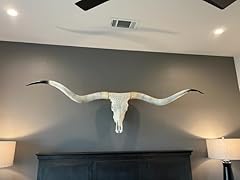 Top rack mammoth for sale  Delivered anywhere in USA 