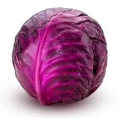 Cavolo cappuccio rosso usato  Spedito ovunque in Italia 