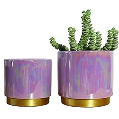Yffsrjdj ceramic planter for sale  Delivered anywhere in USA 