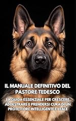 Manuale definitivo del usato  Spedito ovunque in Italia 