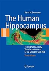 Human hippocampus functional for sale  Delivered anywhere in UK
