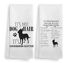 Noql chihuahua dog for sale  Delivered anywhere in USA 