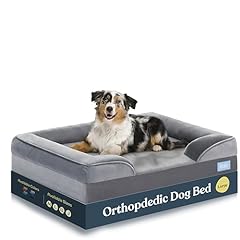 Orthopedic sofa dog for sale  Delivered anywhere in USA 
