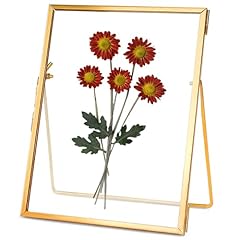 Redhugo glass pressed for sale  Delivered anywhere in USA 