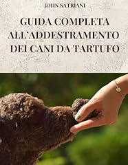 Guida completa all usato  Spedito ovunque in Italia 
