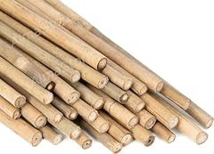 Canne bambù resistenti usato  Spedito ovunque in Italia 